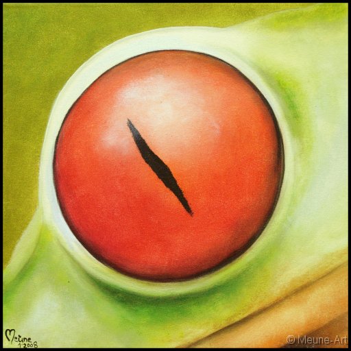 Augenblick eines Rotaugenfrosches Acryl auf Leinwand;
30 x 30 cm